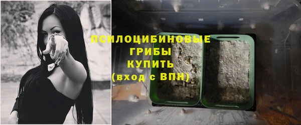 мяу мяу кристалл Алексин