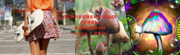 соль ск Аркадак