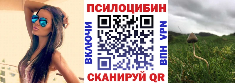 Псилоцибиновые грибы MAGIC MUSHROOMS  Ельня 